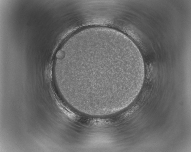 X0000072500632200608111629