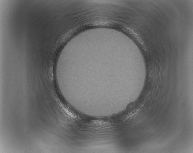 X0000072500633200608111629