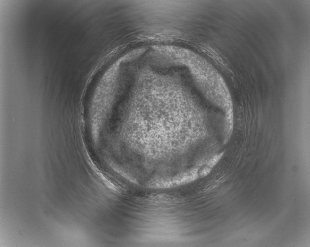 X0000072500634200608111629