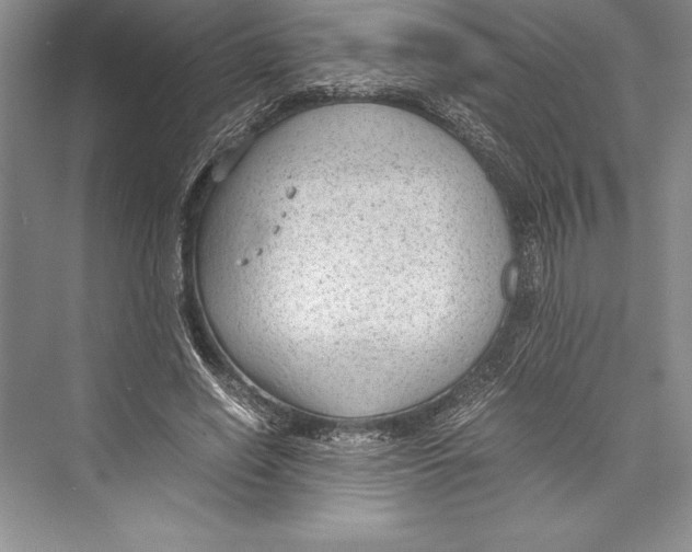 X0000072500638200608111629