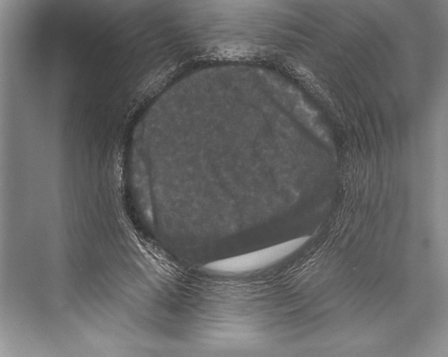 X0000072500640200608111629