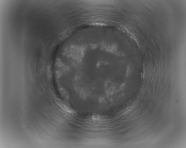 X0000072500641200608111629