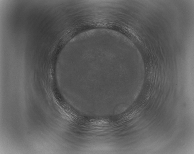 X0000072500643200608111629