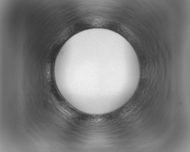 X0000072500646200608111629