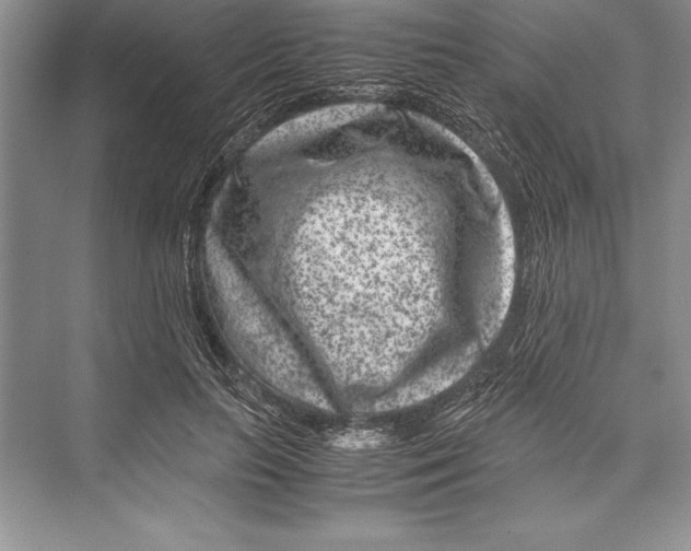 X0000072500647200608111629