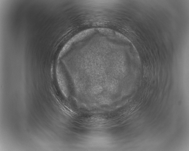 X0000072500648200608111629