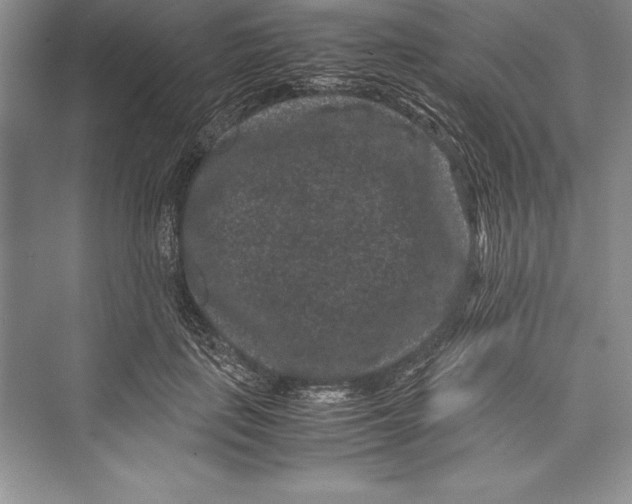 X0000072500651200608111629