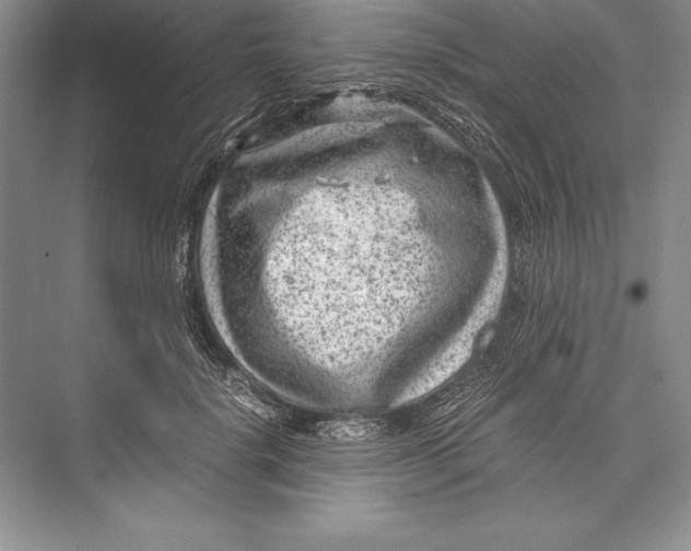 X0000072500652200608111629