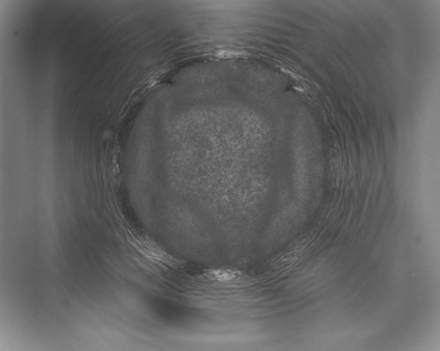 X0000072500654200608111629