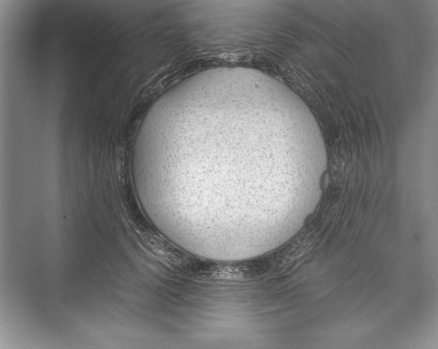 X0000072500656200608111629