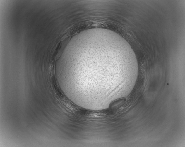 X0000072500657200608111629