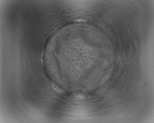 X0000072500658200608111629