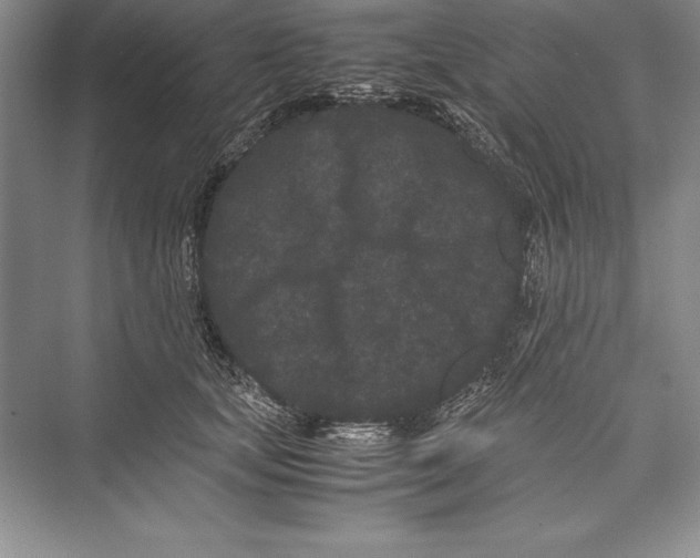 X0000072500659200608111629