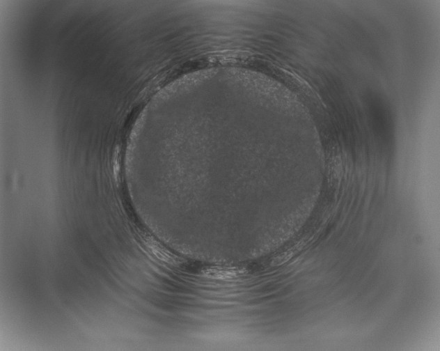 X0000072500661200608111629