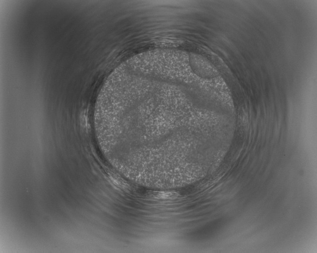 X0000072500663200608111629