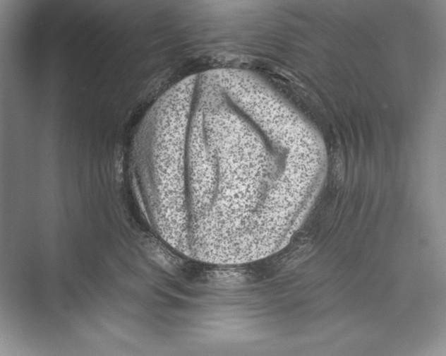 X0000072500668200608111629