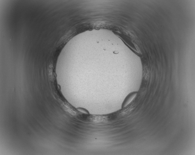 X0000072500670200608111629