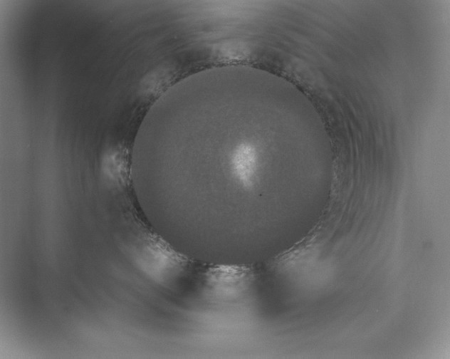 X0000072500672200608111629