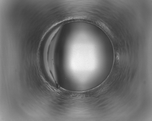 X0000072500676200608111629