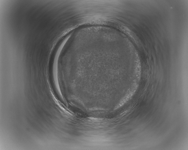 X0000072500677200608111629