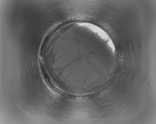 X0000072500678200608111629