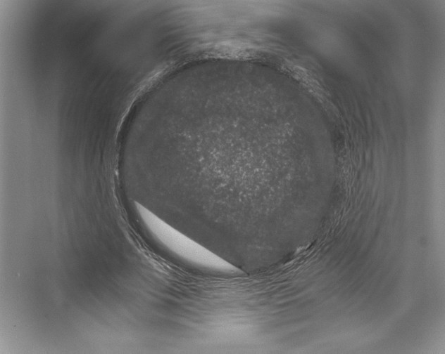 X0000072500679200608111629