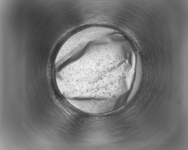 X0000072500680200608111629