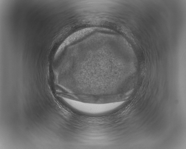 X0000072500685200608111628