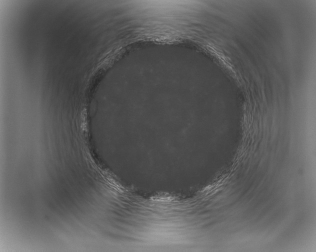 X0000072500689200608111628