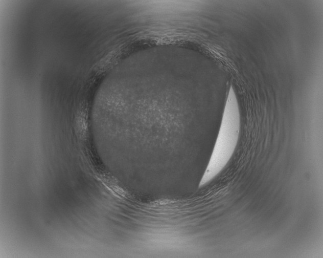 X0000072500691200608111628