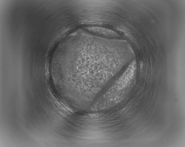 X0000072500692200608111628