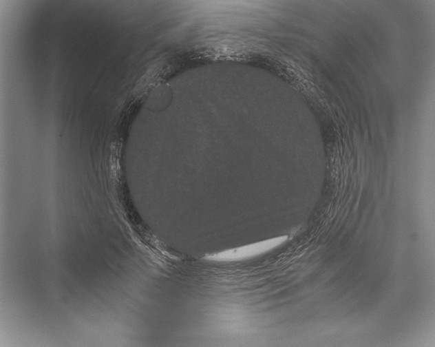 X0000072500695200608111628