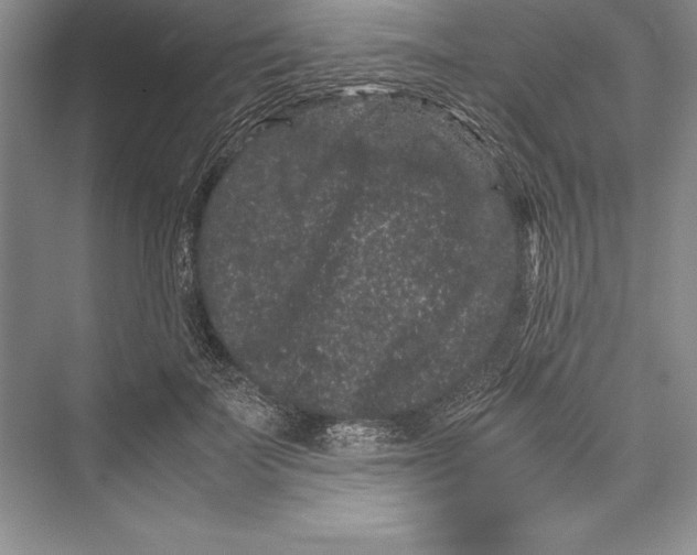 X0000072500699200608111628