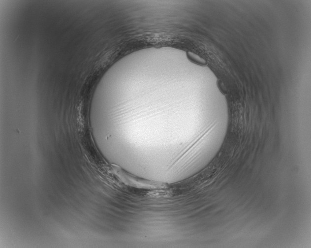 X0000072500700200608111628