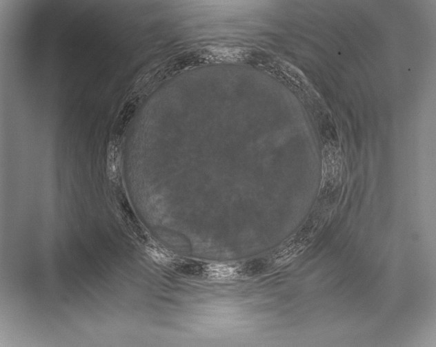 X0000072500701200608111628