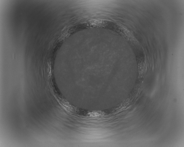 X0000072500703200608111628