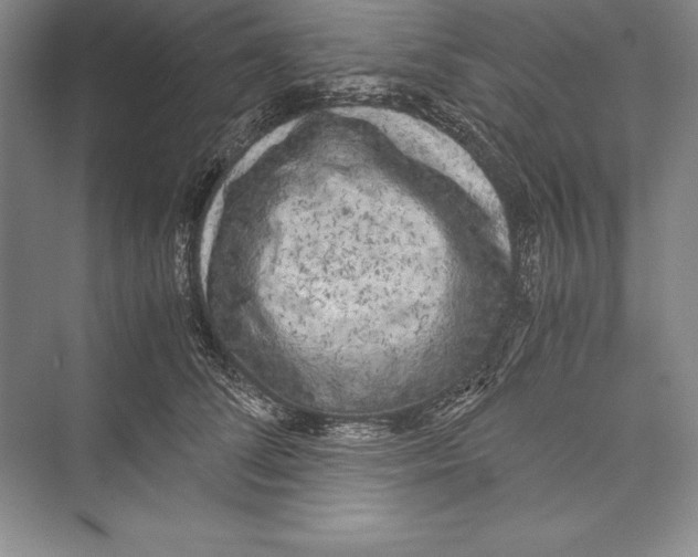 X0000072500708200608111628