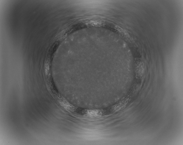 X0000072500709200608111628