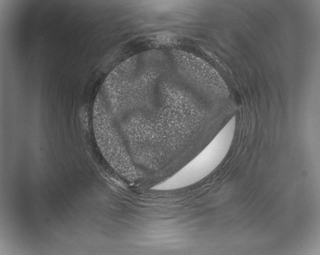 X0000072500715200608111628