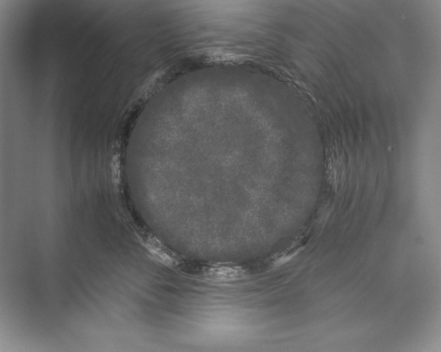 X0000072500716200608111628