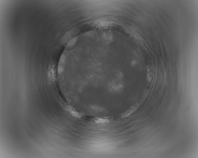 X0000072500718200608111628