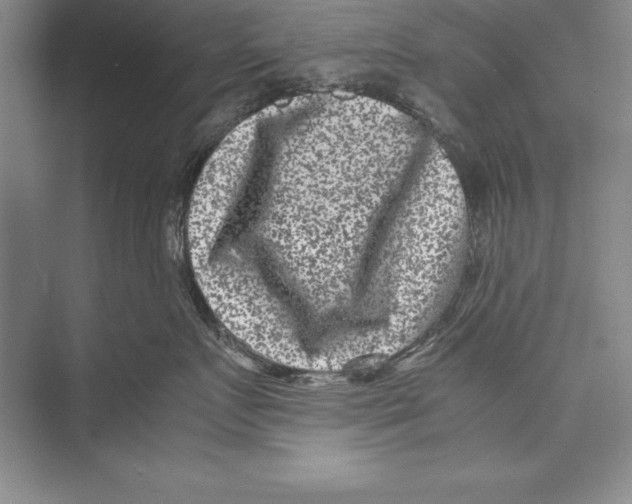 X0000072500719200608111628