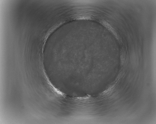 X0000072500721200608111627