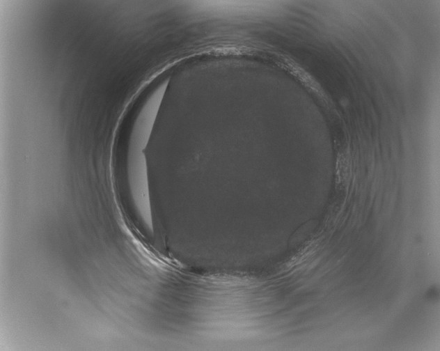 X0000072500722200608111627