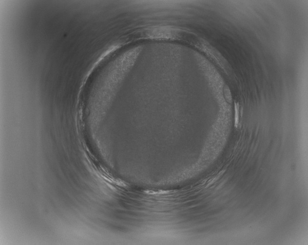 X0000072500723200608111627