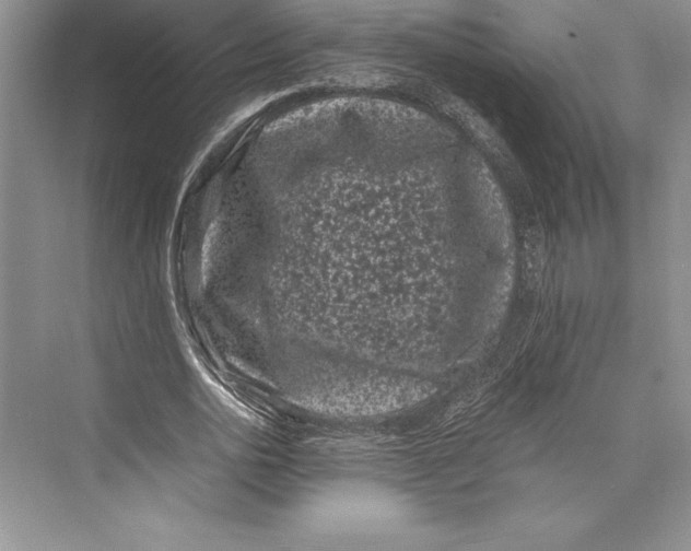 X0000072500726200608111627