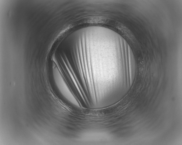 X0000072500727200608111627