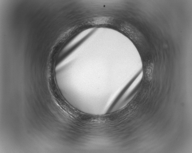 X0000072500732200608111627