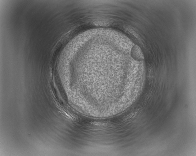 X0000072500733200608111627