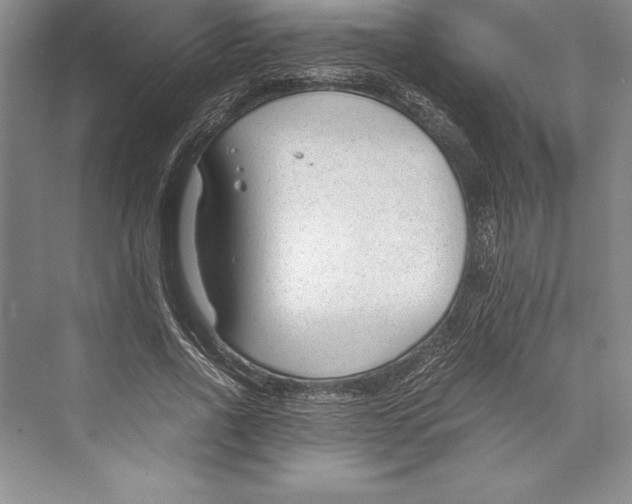 X0000072500734200608111627